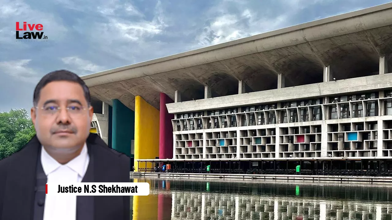 PMLA | Not Mandatory For Court To Conclude That Accused Is Innocent Before Granting Bail: Punjab & Haryana High Court