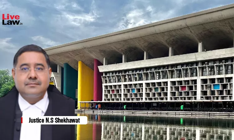 PMLA | Not Mandatory For Court To Conclude That Accused Is Innocent Before Granting Bail: Punjab & Haryana High Court